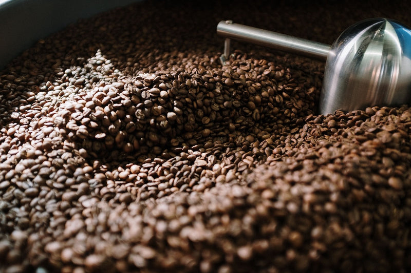 Roasted Coffee Beans