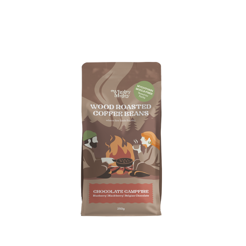 A 250g bag of Wholey Moley Wood Roasted Coffee Beans, Chocolate Campfire flavor, shown on a plain white background.